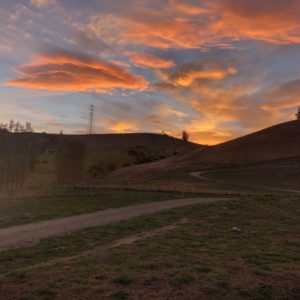northburn station race report