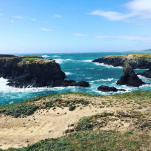 mendocino 50k race report