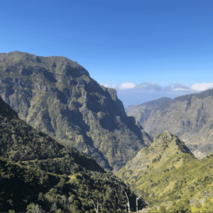 miut madeira race report