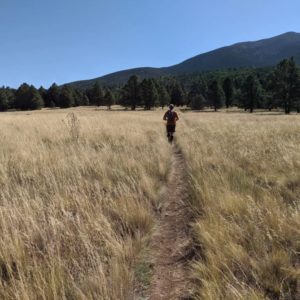 stagecoach 100 mile ultra race report