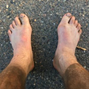 rio del lago 100 ultra race report