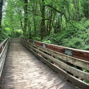 coal creek bridge seattle
