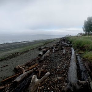 discovery park seattle