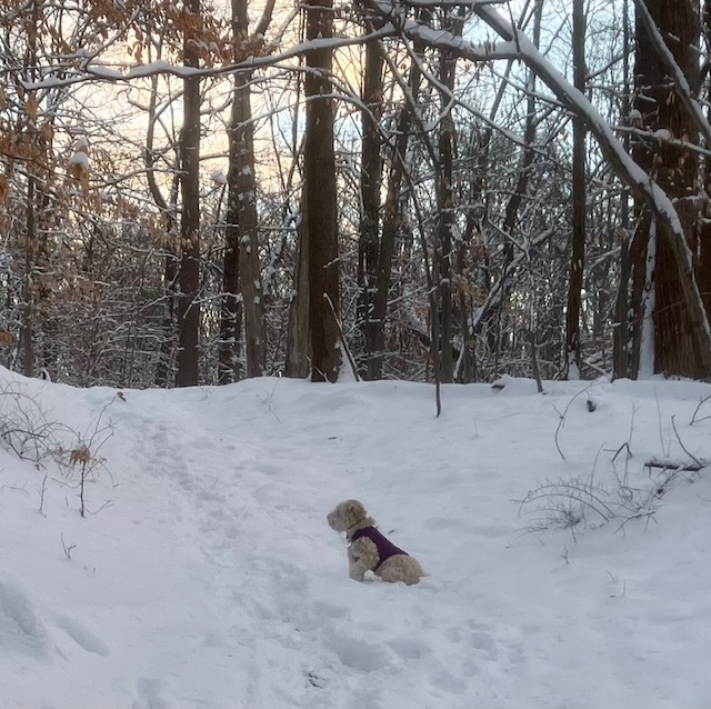 Ryan Williams - Columbia, MD Running Coach - Image 4