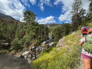 Bighorn 100 Mile Race Report – TJ Harms-Synkiew